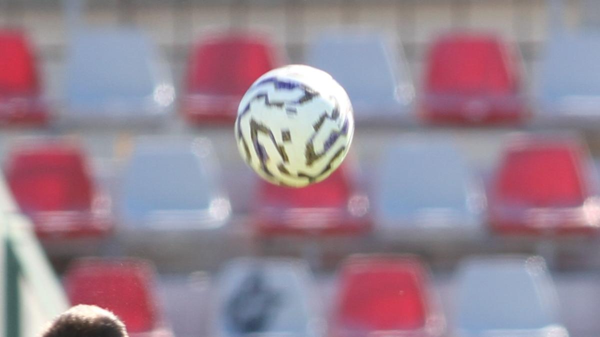 Immagine strip Primo piano n.1