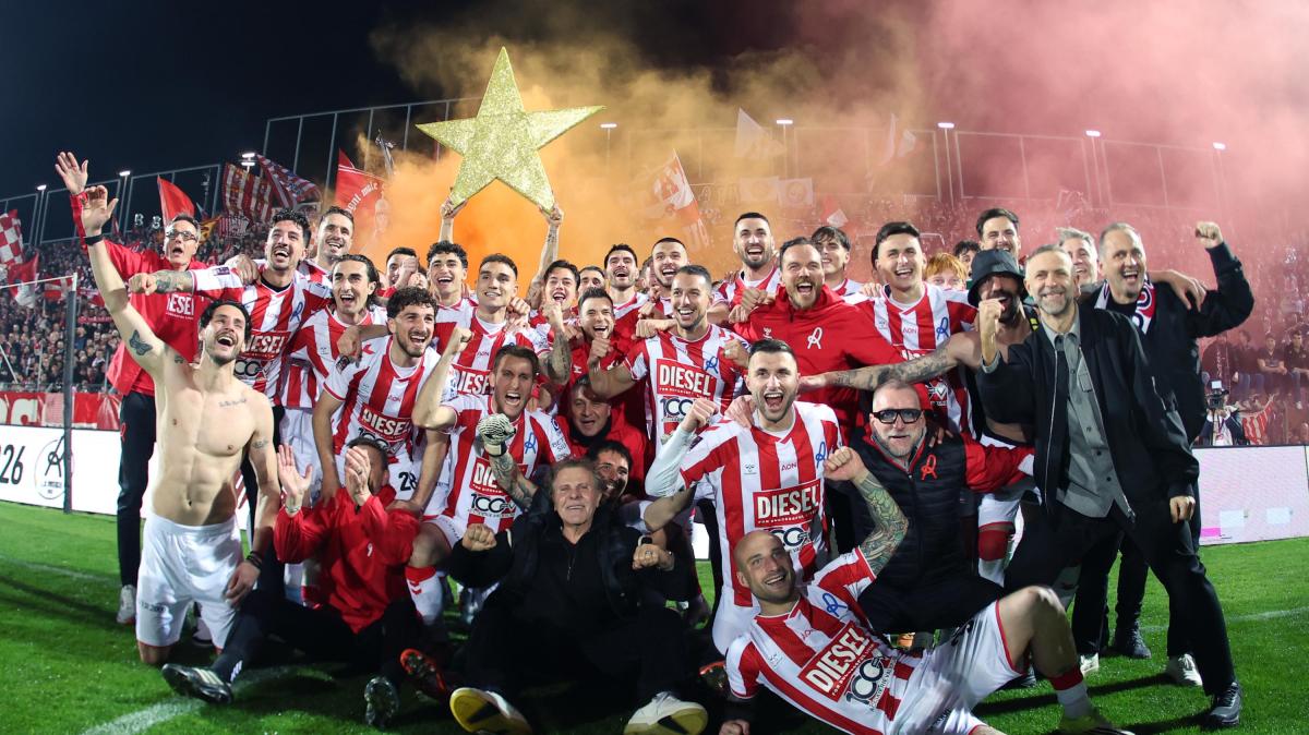 Serie C, equilibrio e verdetti: il Vicenza vola, bagarre negli altri gironi