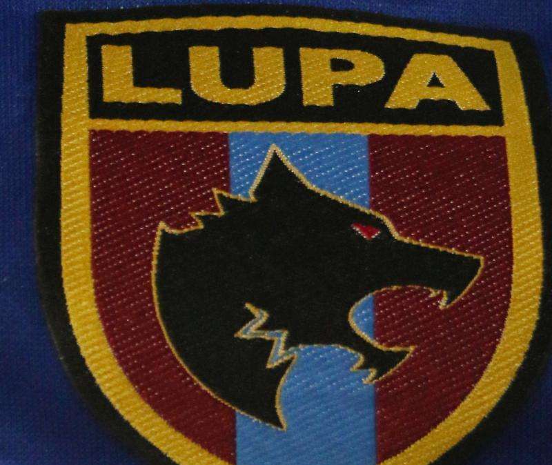 Lupa Castelli, fusione e riammissione in Lega Pro?
