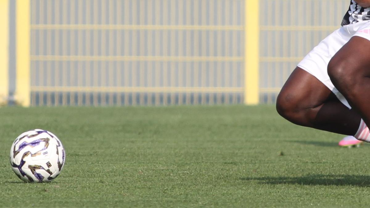 Immagine strip Primo piano n.4