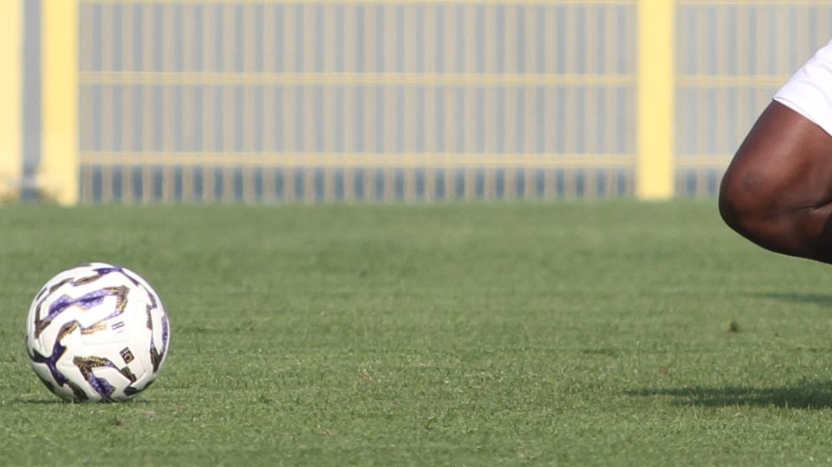 Immagine strip Primo piano n.2