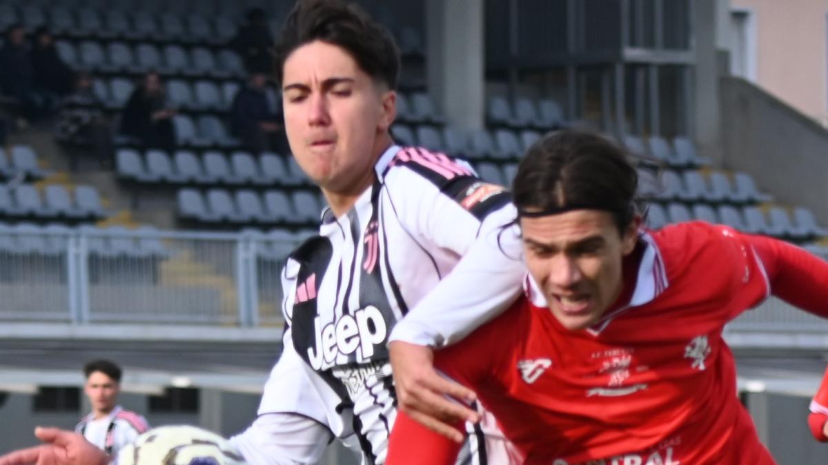 Immagine strip Primo piano n.1