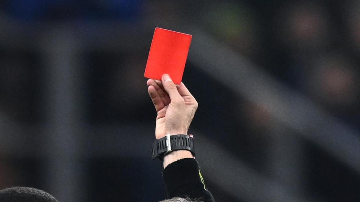 Immagine strip Primo piano n.2