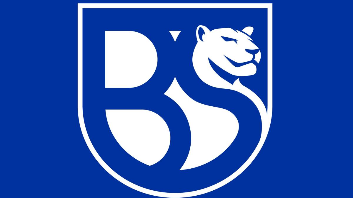 Nemo profeta in patria: il bresciano Diana e l'Union Brescia dividono le loro strade. Un esonero che ha radici lontane