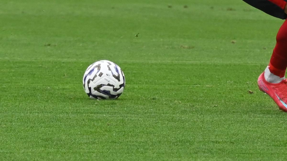 Immagine strip Primo piano n.2