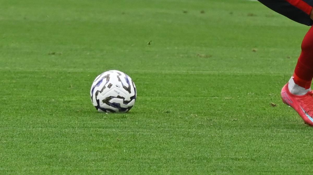 Immagine strip Primo piano n.2