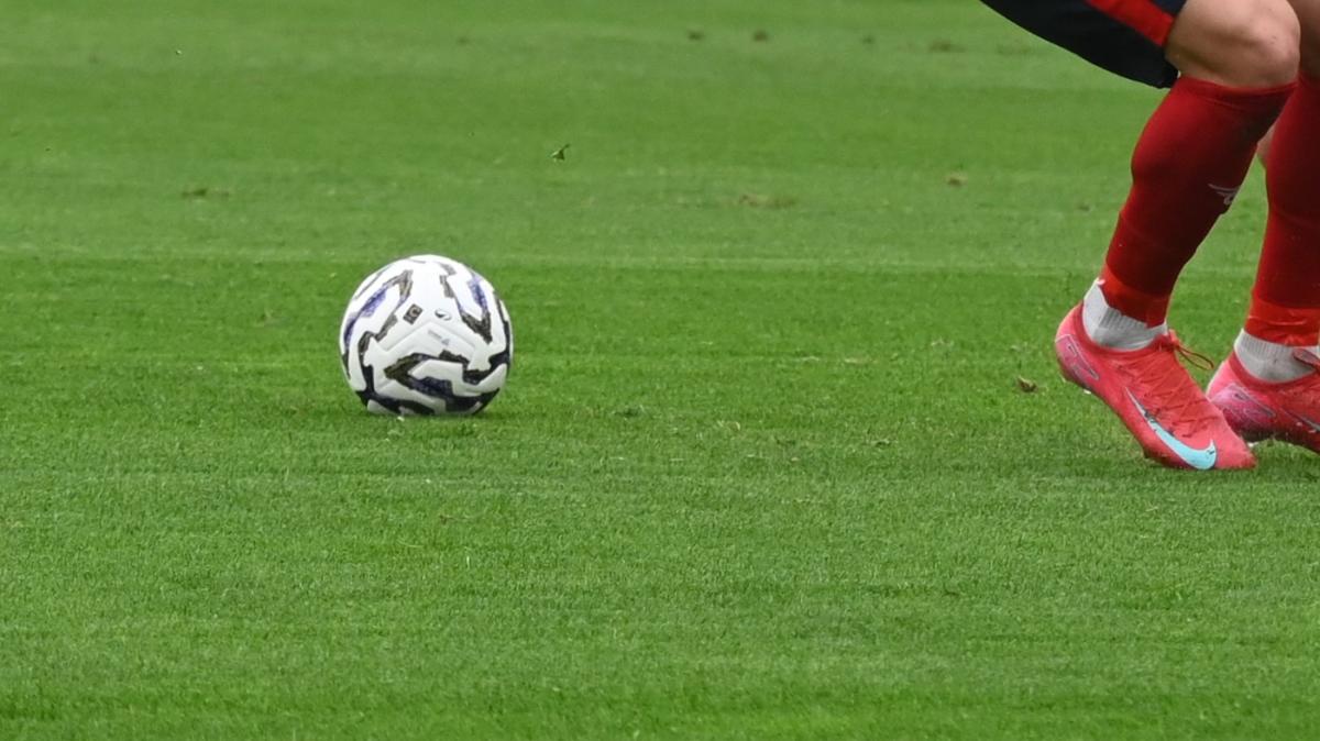 Immagine strip Primo piano n.1