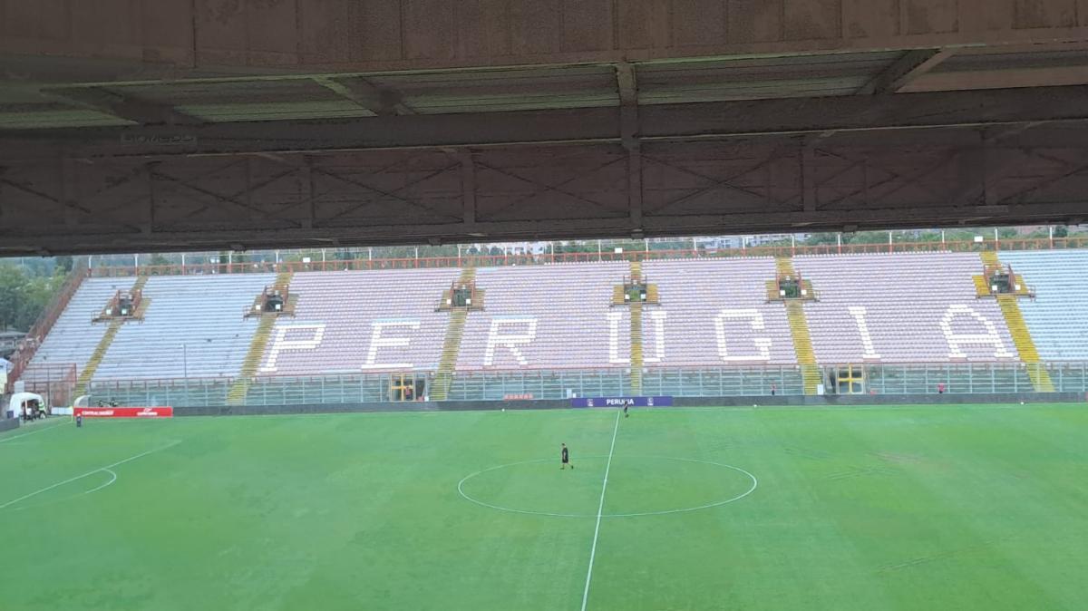 Immagine strip Primo piano n.2