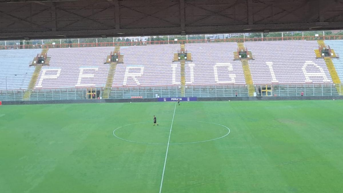 Immagine strip Primo piano n.1