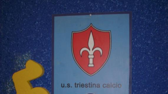 Il Piccolo: "Triestina, Tom Zelenovic è il nuovo presidente"