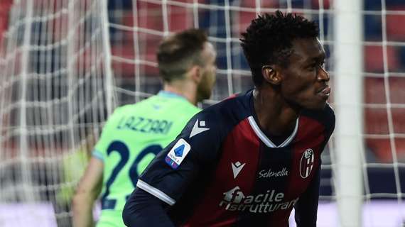 Team Altamura, in arrivo l'ex Bologna Ibrahima Mbaye