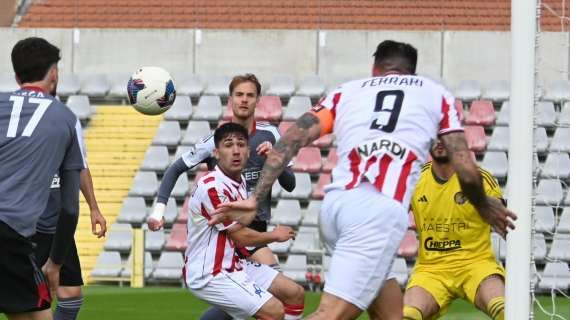 Giornale di Vicenza: "Il Lane si regala un’altra gioia. Ora sotto con la Ternana"