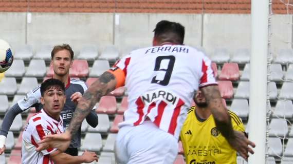 Giornale Vicenza: "Turnover, Ferrari e mentalità giusta. Pronti per 2° round"