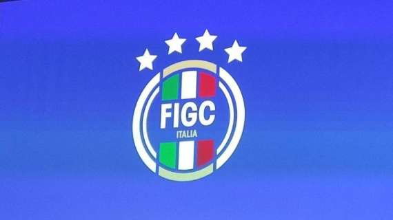 Consiglio di Stato, respinta la richiesta della FIGC: decisione il 25/8