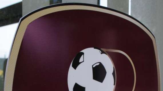 Reggina, addio Lega Pro