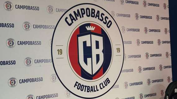 Campobasso, primo test di livello: il 26 luglio amichevole con il Bari