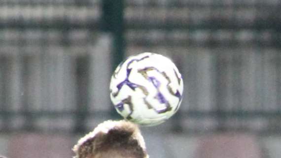 Reti bianche Vicenza. Blitz Salernitana e Monopoli. Benevento la ribalta