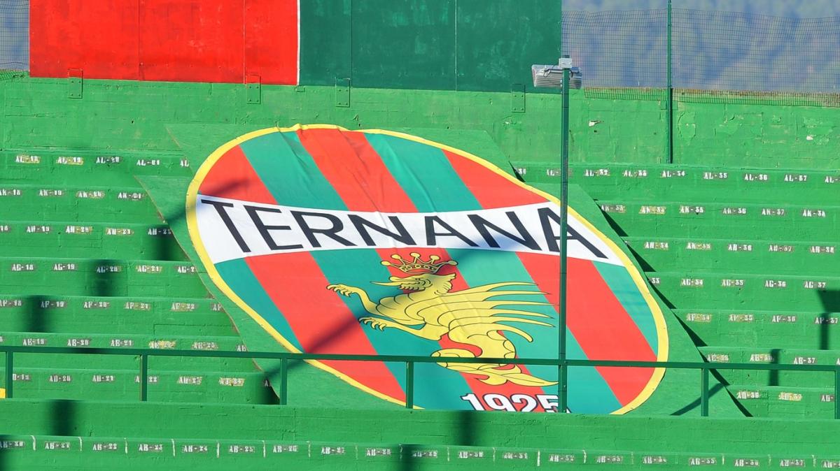 Immagine strip Primo piano n.2