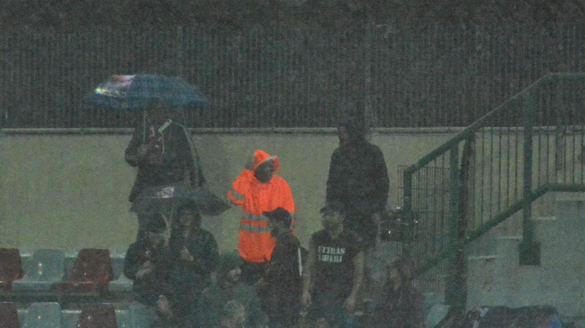 Immagine strip Primo piano n.3