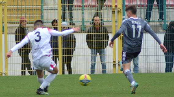 Vis Pesaro, contatti col Cosenza: si lavora allo scambio Zoia-Martino