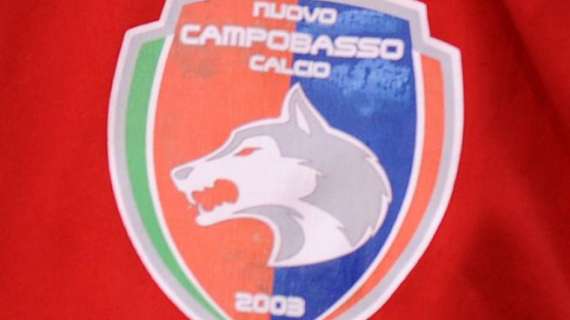 Sorpresa Campobasso: non presenta la domanda di ripescaggio