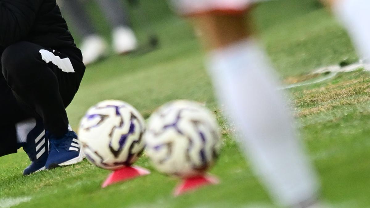 Immagine strip Primo piano n.3