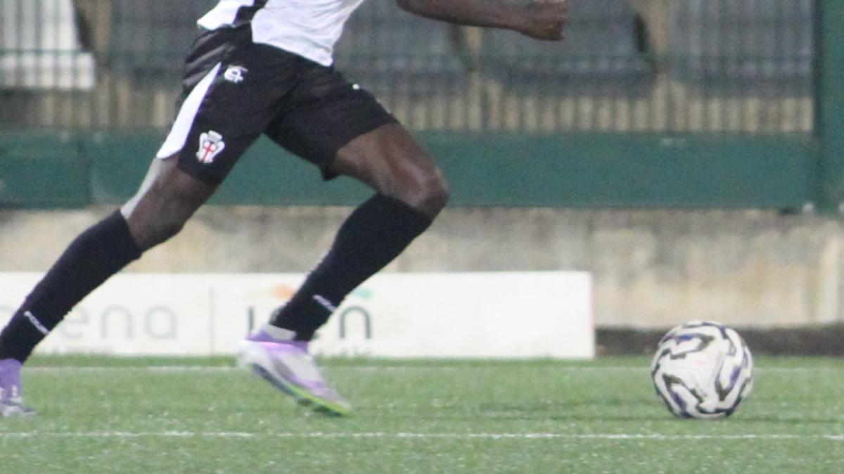 Immagine strip Altre news n.1