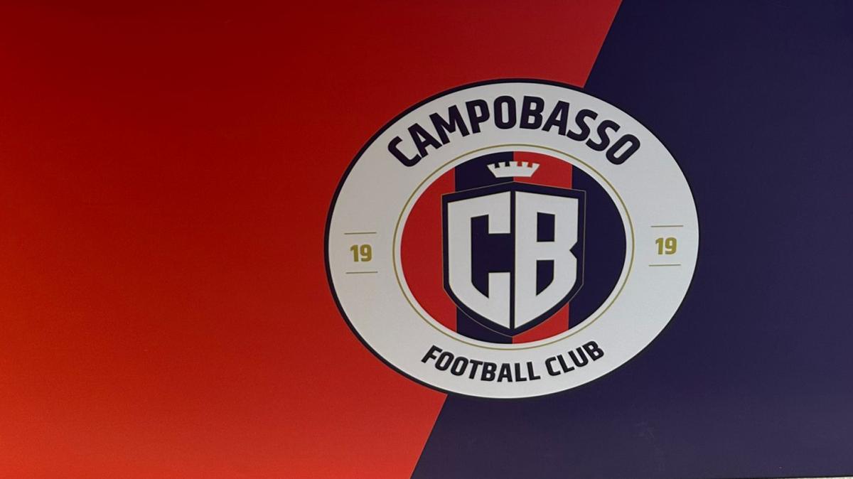 Immagine strip Primo piano n.1