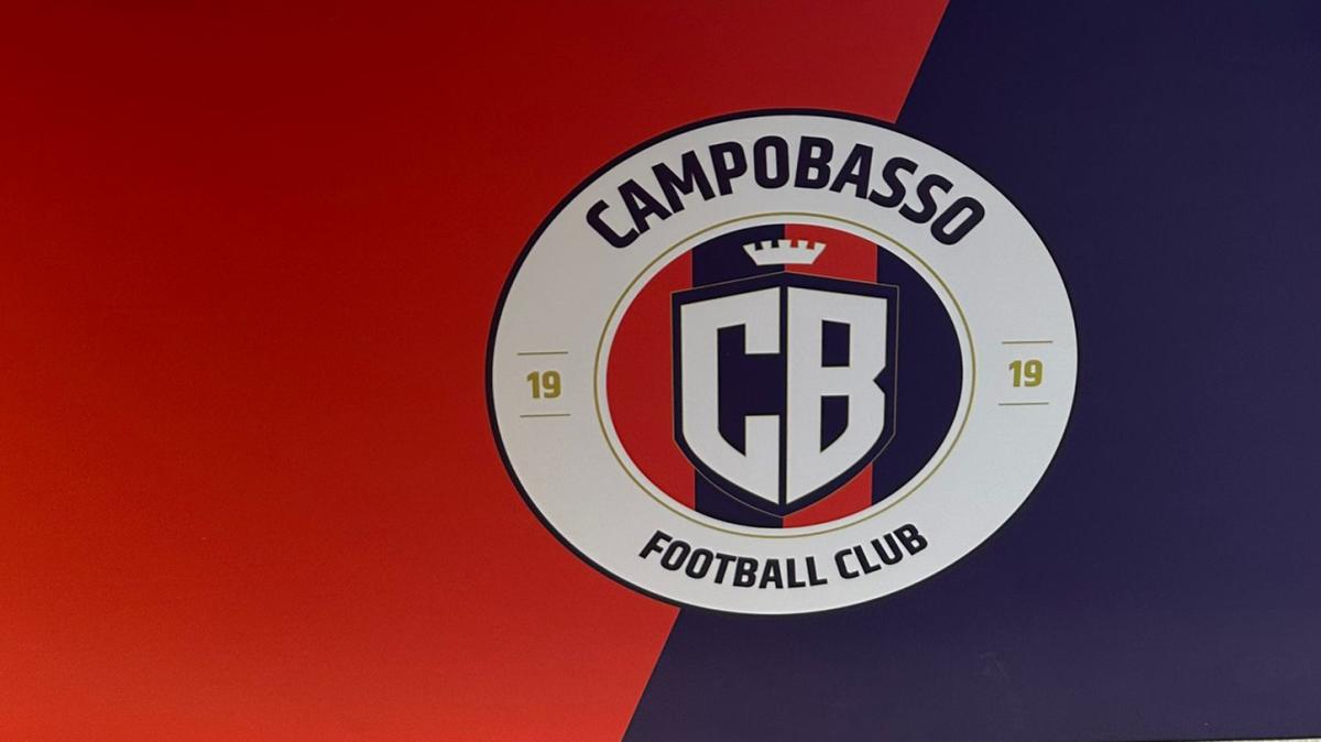 Immagine strip Ufficialità n.1