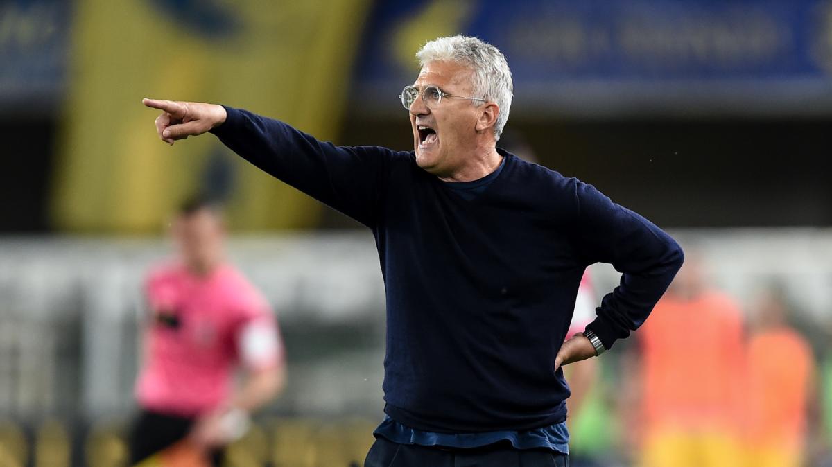 Immagine strip Primo piano n.2