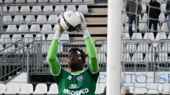 V.Verona, Sheikh Sibi torna a vestire la maglia della Nazionale del Gambia