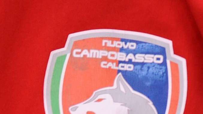 Campobasso, il neo presidente Di Palma a TLP: "Non posso promettere mari e monti, ma..."