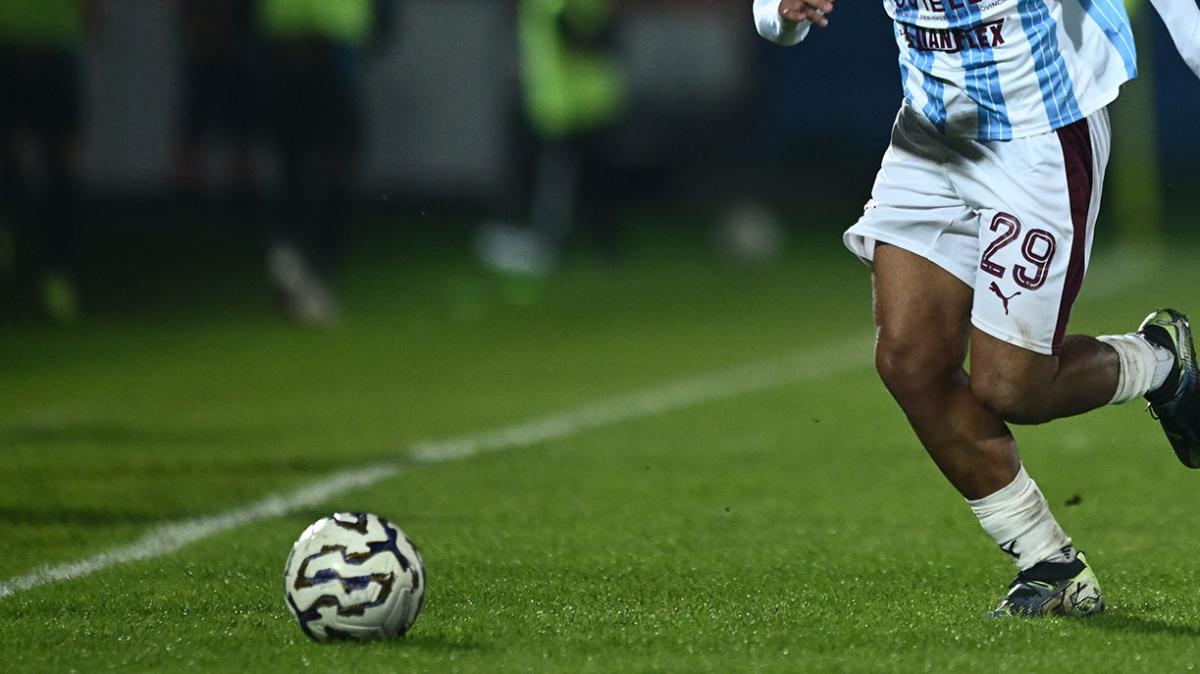 Immagine strip Primo piano n.3