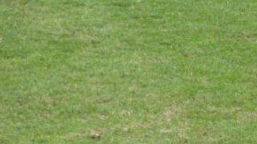 Andrea Schenetti a TLP: "Voglio battere il mio record di gol. Vi racconto perché il Milan mi ha lasciato andare"
