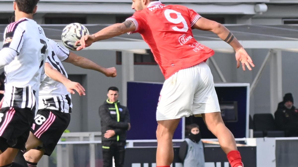 Immagine strip Primo piano n.2