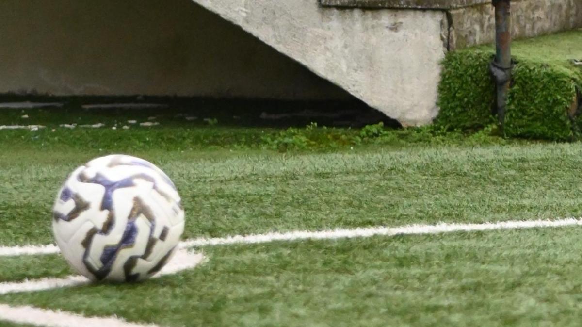 Immagine strip Primo piano n.1