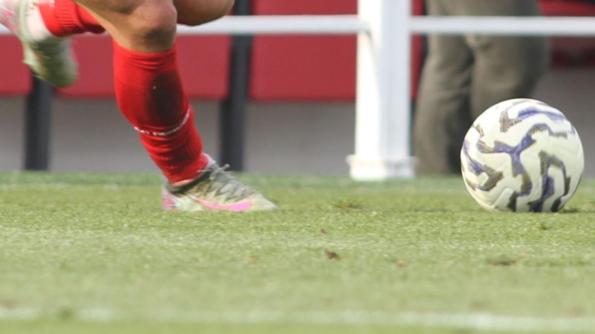 Immagine strip Primo piano n.2