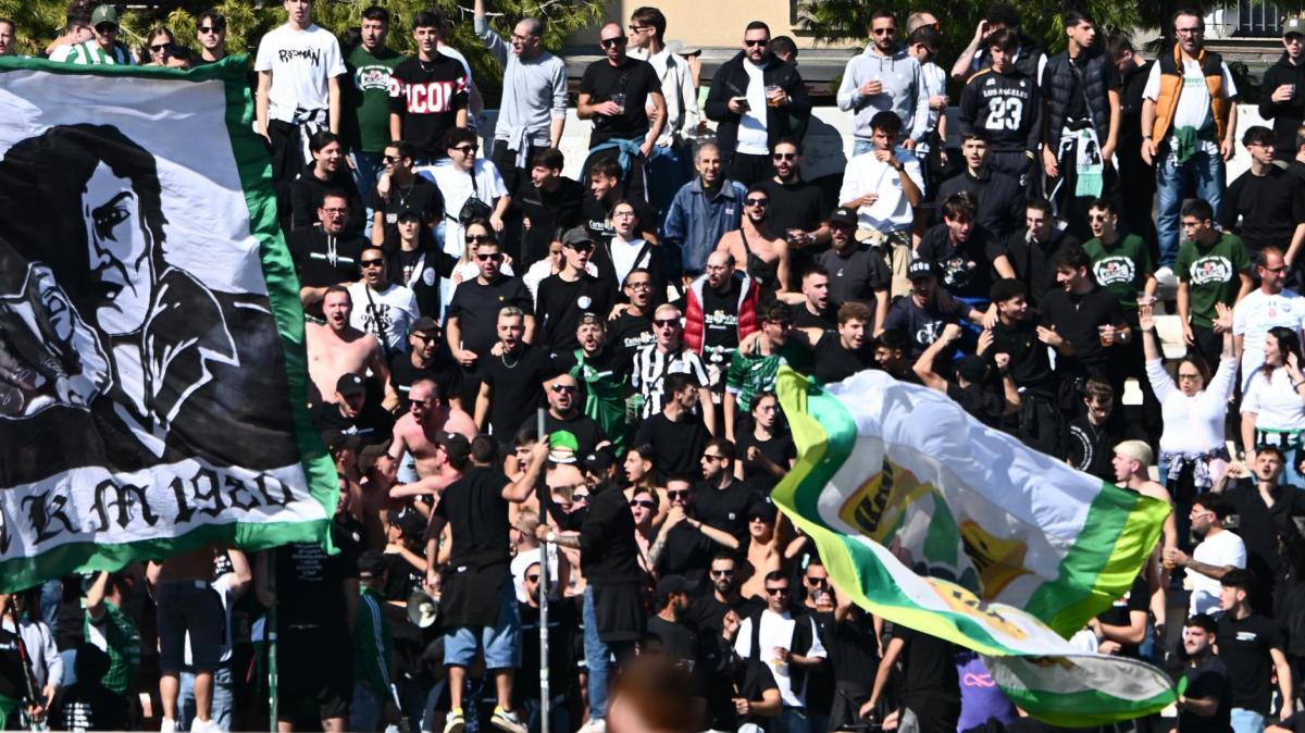 Immagine strip Primo piano n.2