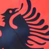 Nations League - Ucraina-Albania: in porta Strakosha o il rossoblù Sherri?