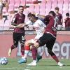 Immagine news 5