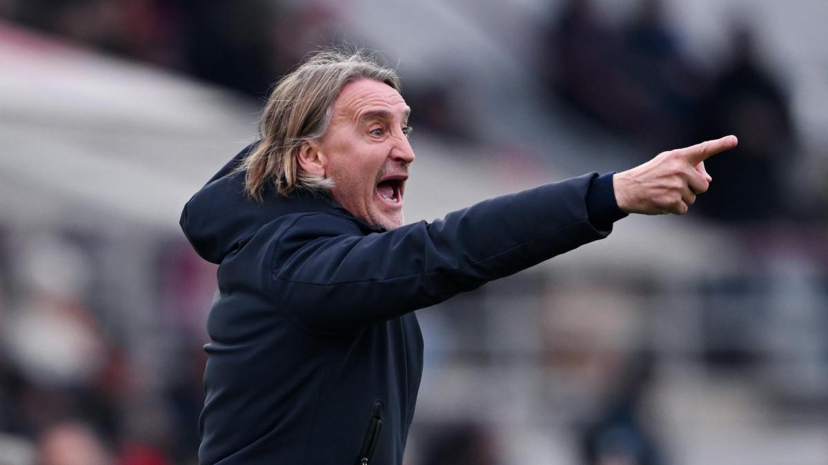 La Cremonese nel finale chiede un rigore contro il Torino. Nicola: "Da regolamento andava sanzionato"