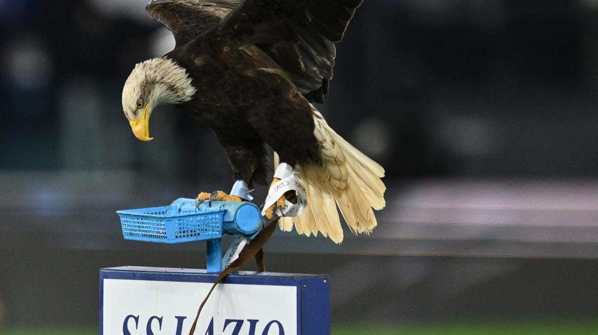 Qui Lazio - Alla Domus serve una svolta contro i biancocelesti: i precedenti 