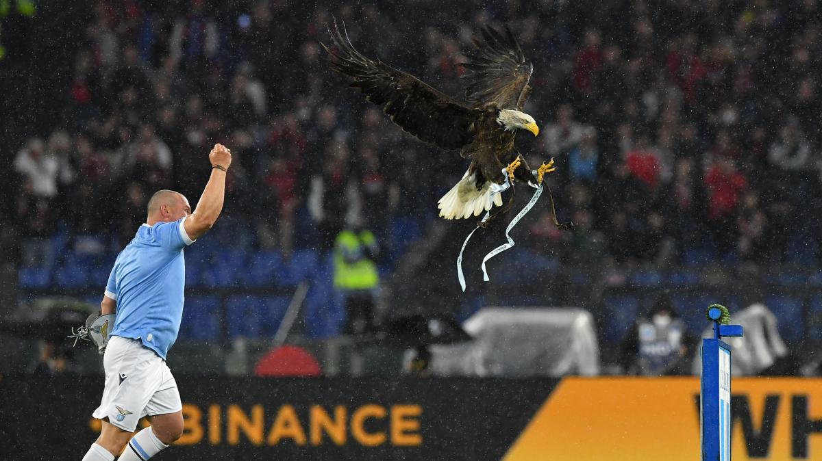 La Lazio sorride, ritorna l'aqulla. Quando Olympia si rifiutò di volteggiare nella gara contro il Cagliari