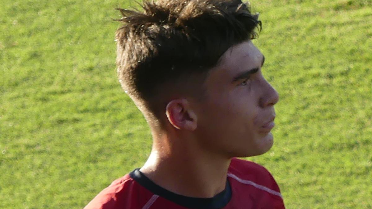 Tonfo al San Nicola, Quotidiano di Puglia: "Bari, così si fa dura. Cavuoti disastroso"