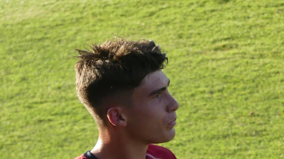 Bari a piccoli passi. Quotidiano di Puglia: "Cavuoti assist-man all’Euganeo"