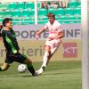 Catanzaro-Palermo, il regolamento della semifinale playoff Serie B: cosa c’è da sapere
