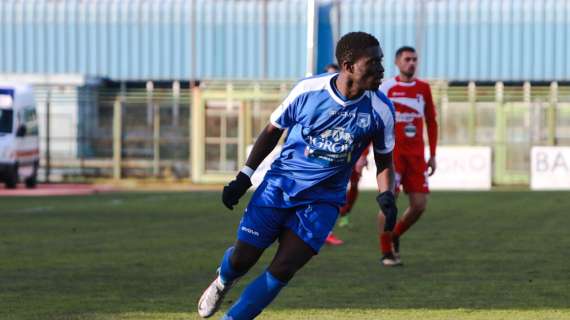 Reggina, non solo Polidori. Diversi nomi per l'attacco, c'è anche Abou Diop