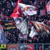 Cremonese-Como, chiusa la prevendita dei biglietti. Il dato finale