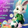 BUONA PASQUA da tuttocalciopontino