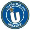 UFFICIALE - Unione Calcio Bisceglie, via Monopoli: atteso il nuovo tecnico